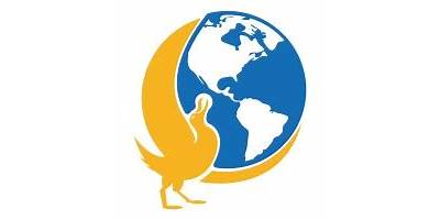 INSTITUTO GLOBAL DE FORMACIÓN Y EDUCACIÓN
