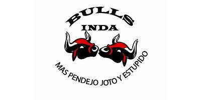 INSTITUTO INDA