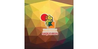 INSTITUTO SIQUEIROS