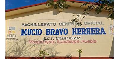 MUCIO BRAVO HERRERA