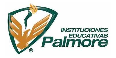 PREPARATORIA INSTITUCIONES EDUCATIVAS PALMORE