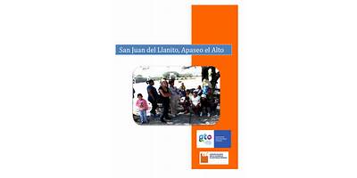 TELEBACHILLERATO COMUNITARIO APASEO EL ALTO - SAN JUAN DEL LLANITO