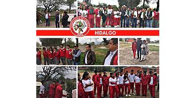 TELEBACHILLERATO COMUNITARIO DENGANTZHA