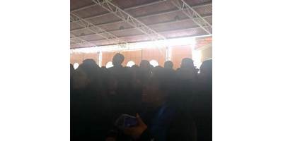 TELEBACHILLERATO COMUNITARIO JERÉCUARO - SALTO DE PEÑA