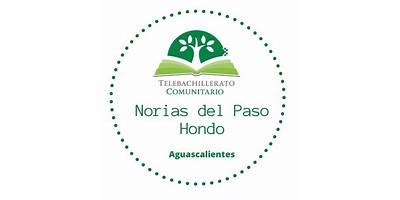 TELEBACHILLERATO COMUNITARIO NORIAS DEL PASO HONDO