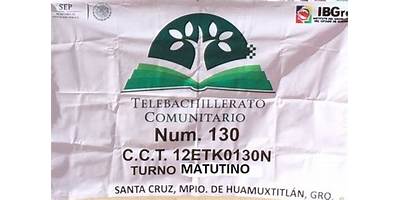 TELEBACHILLERATO COMUNITARIO NUM 130
