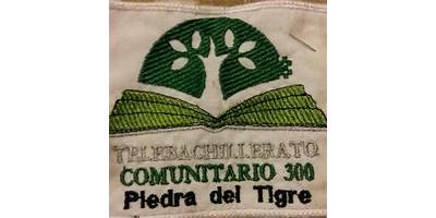 TELEBACHILLERATO COMUNITARIO NUM 300
