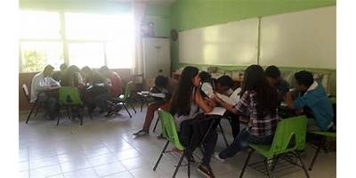 TELEBACHILLERATO COMUNITARIO NÚM. 424 EL MANGO CUENTLA, SAN SIMÓN DE GUERRERO