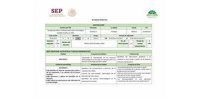 TELEBACHILLERATO COMUNITARIO NÚM. 439 PUEBLO TENERÍA, TEJUPILCO