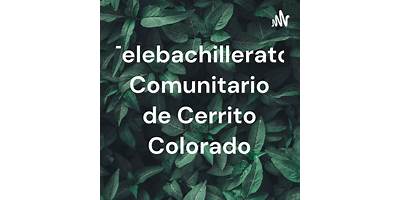 TELEBACHILLERATO COMUNITARIO VICTORIA - CERRITO COLORADO