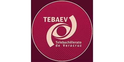 TELEBACHILLERATO EL MACAYAL