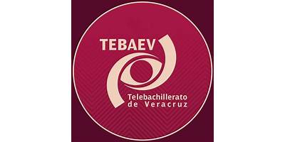 TELEBACHILLERATO INDEPENDENCIA