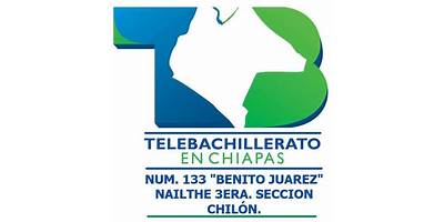 TELEBACHILLERATO NUM 133 BENITO JUAREZ