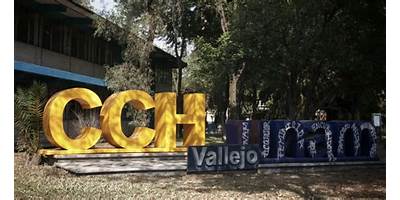 UNAM COLEGIO DE CIENCIAS Y HUMANIDADES PLANTEL VALLEJO