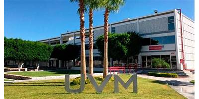 UNIVERSIDAD DEL VALLE DE MÉXICO S. C. CAMPUS TOLUCA