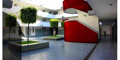UNIVERSIDAD DEL VALLE DE MEXICO, S.C.