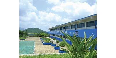 UNIVERSIDAD DEL VALLE DE MEXICO