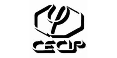 CENTRO DE ESTUDIOS CLINICA E INVESTIGACION PSICOLOGICA