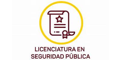 CENTRO DE ESTUDIOS E INVESTIGACION EN SEGURIDAD