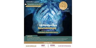 CENTRO DE ESTUDIOS EN NEUROCIENCIAS Y PSICOLOGIA DEL ESTADO DE CHIAPAS