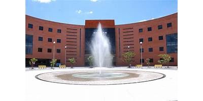 DIVISION DE CIENCIAS ECONOMICO-ADMINISTRATIVAS