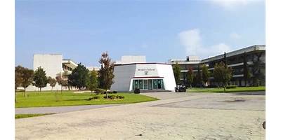 ESCUELA DE DERECHO