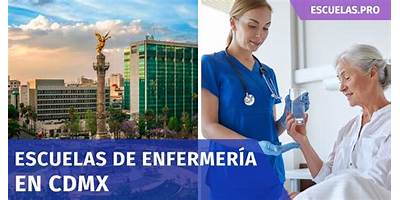 ESCUELA DE ENFERMERIA DE LA SECRETARIA DE SALUD