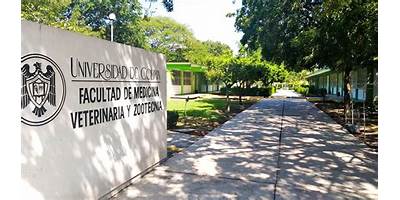 FACULTAD DE MEDICINA VETERINARIA Y ZOOTECNIA