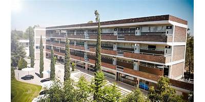 IMES UNIVERSITARIOS
