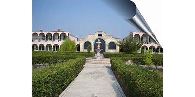INSTITUTO DE EDUCACION SUPERIOR LICEO