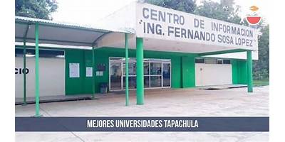 INSTITUTO DE FORMACIÓN UNIVERSITARIA DEL SUR