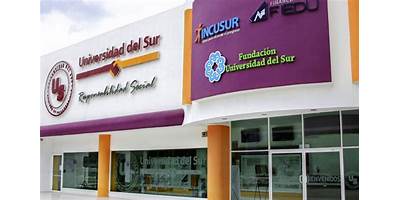 INSTITUTO DE FORMACIÓN UNIVERSITARIA DEL SUR
