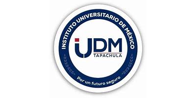 INSTITUTO UNIVERSITARIO INTERNACIONAL DE TOLUCA