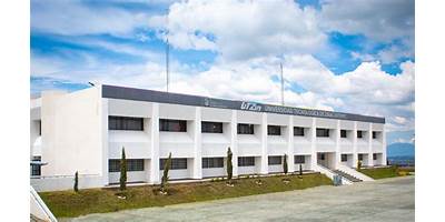 LICEO UNIVERSITARIO BILINGÜE