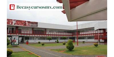 UNIVERSIDAD DEL VALLE DE MEXICO CAMPUS TOLUCA