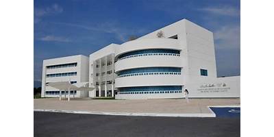 "UNIVERSIDAD LA SALLE VICTORIA CAMPUS DE LA SALUD ""RODOLFO TORRE CANTU"""