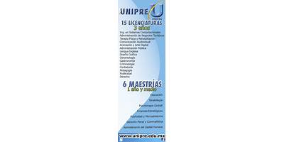 UNIVERSIDAD PARA LA PROFESIONALIZACION ESTRATEGICA