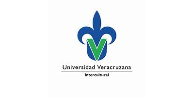 UNIVERSIDAD VERACRUZANA INTERCULTURAL SEDE GRANDES MONTAÑAS